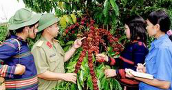 baochinhphu.vn